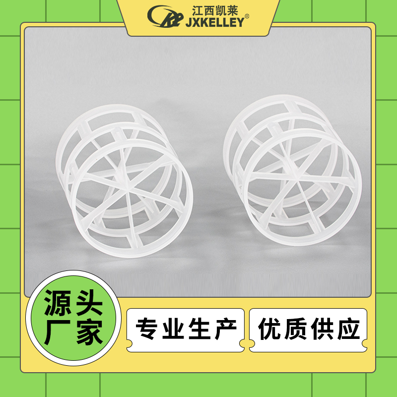 塑料鲍尔环4.png